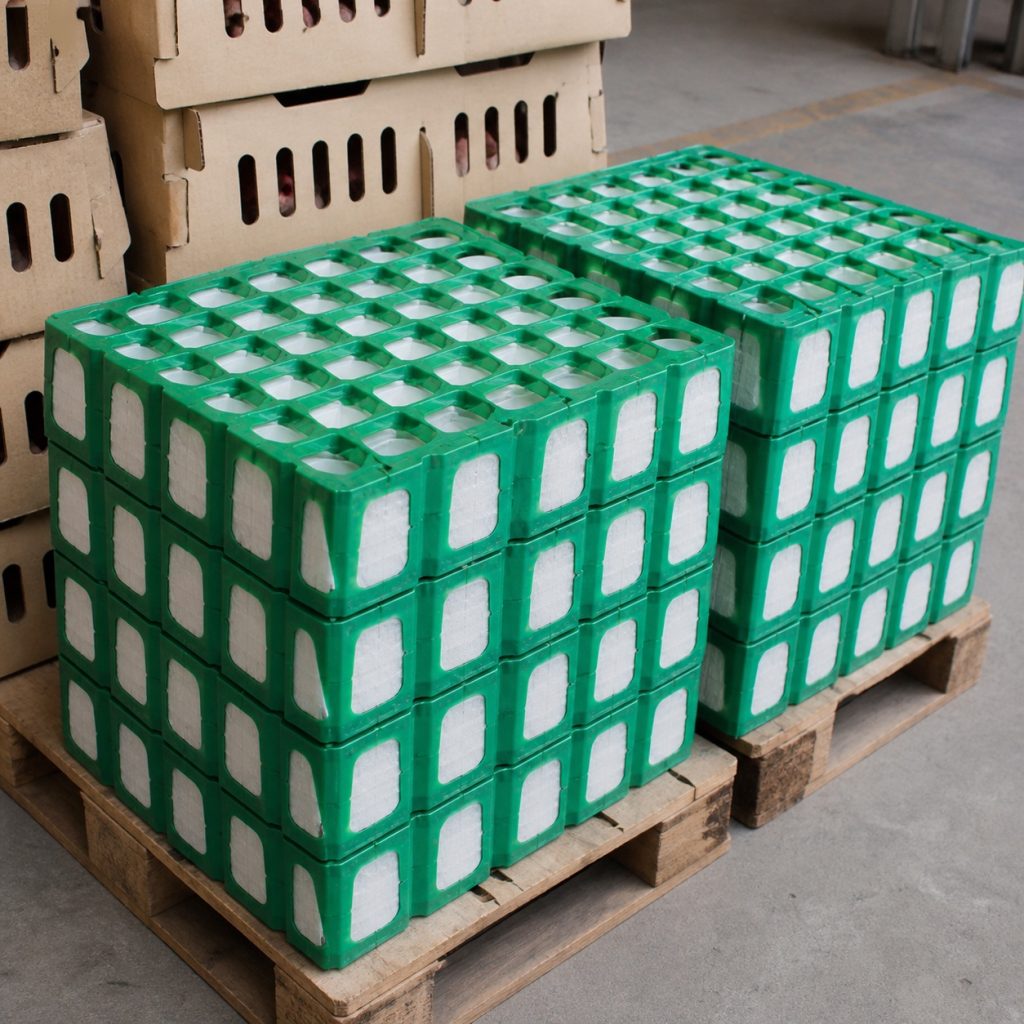 Agriculture & Egg Packaging